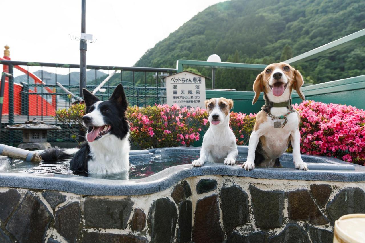 Kinugawa Kokusai Hotel Nikko Εξωτερικό φωτογραφία