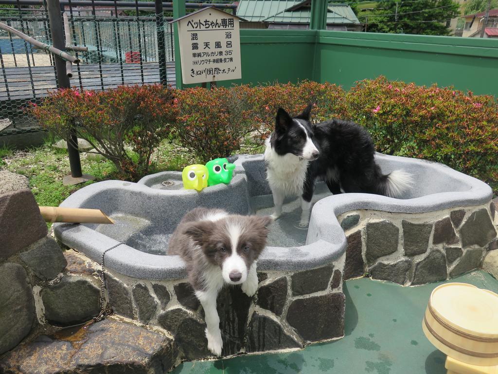 Kinugawa Kokusai Hotel Nikko Εξωτερικό φωτογραφία